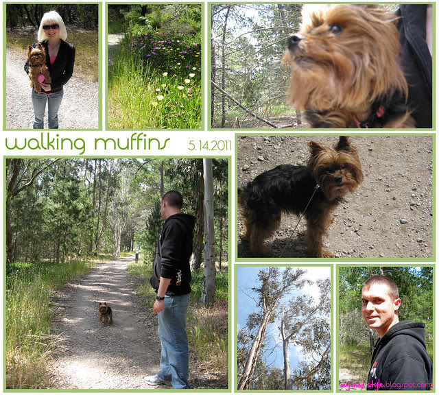 california walking muffins
