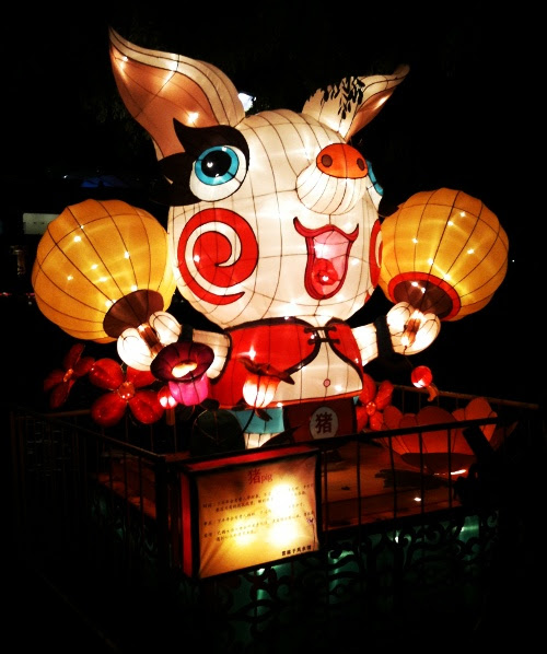 pig