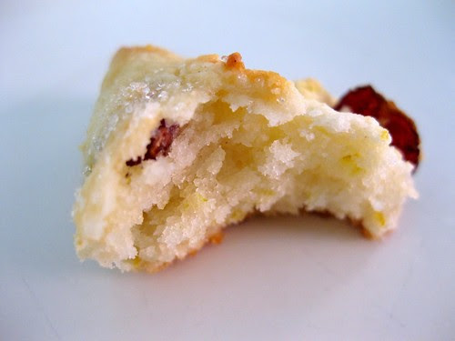 sconeslemoncranberry (2)
