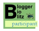Blogger BioBlitz participant logo with beetle