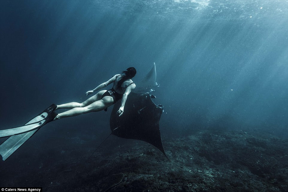 The photographer said she is regularly quizzed by strangers about her profession with many people unable to believe that she free-dives professionally (pictured in Bali)