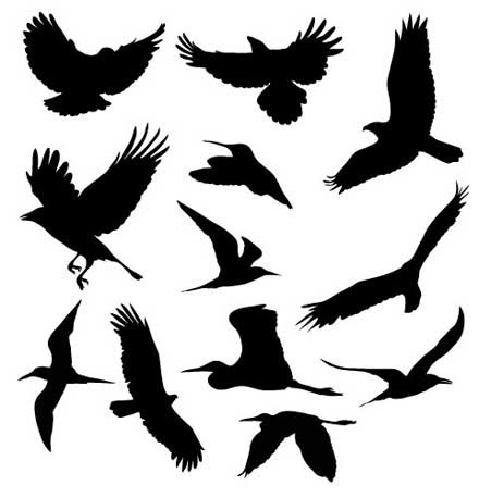 すべての動物の画像 エレガントイラスト 羽ばたく鳥