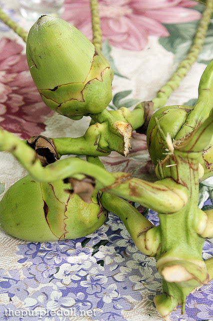 Coconut Flower Nuts