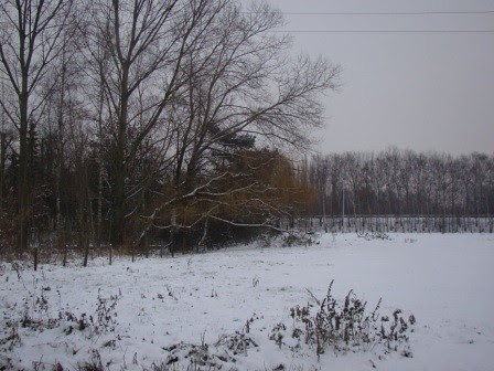 Winter wonderland ...