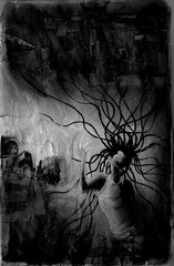 0photo240