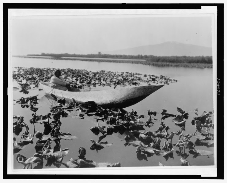 Description of  Title: The wokas season--Klamath.  <br />Date Created/Published: c1923 Jun. 30.  <br />Summary: Photograph shows a Klamath woman in a dugout canoe resting in a field of wokas, or great yellow water lilies (nymphaea polysepala) used as food, probably in the Klamath Basin area of Oregon.  <br />Photograph by Edward S. Curtis, Curtis (Edward S.) Collection, Library of Congress Prints and Photographs Division Washington, D.C.