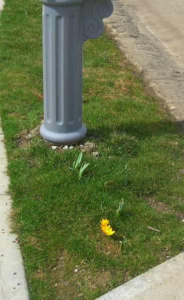 By the Mailbox, 3/26/07