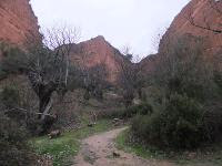 Free Image Hosting at www.ImageShack.us