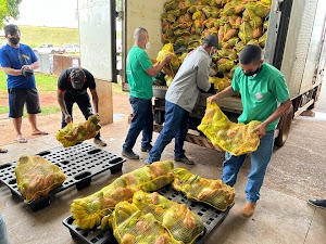   Mais de 12 mil cestas verdes são entregues ao Banco de Alimentos