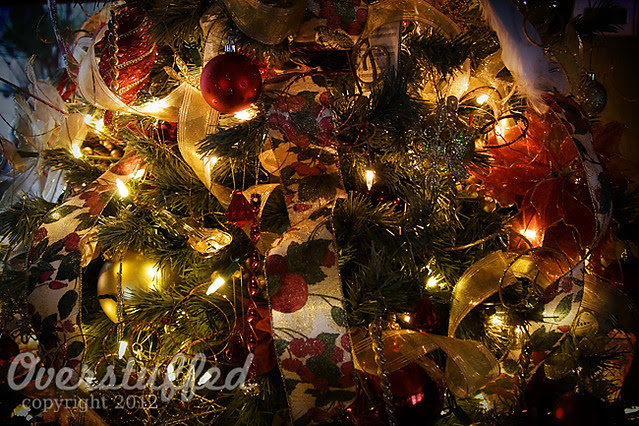 IMG_5694 Christmas Tree 2012 web