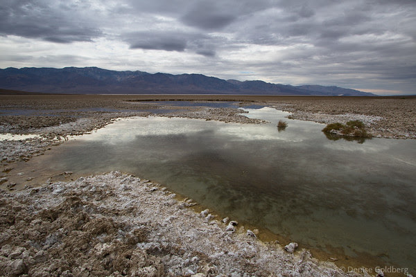 water, Death Valley National Park