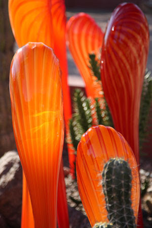 Chihuly0025_PS