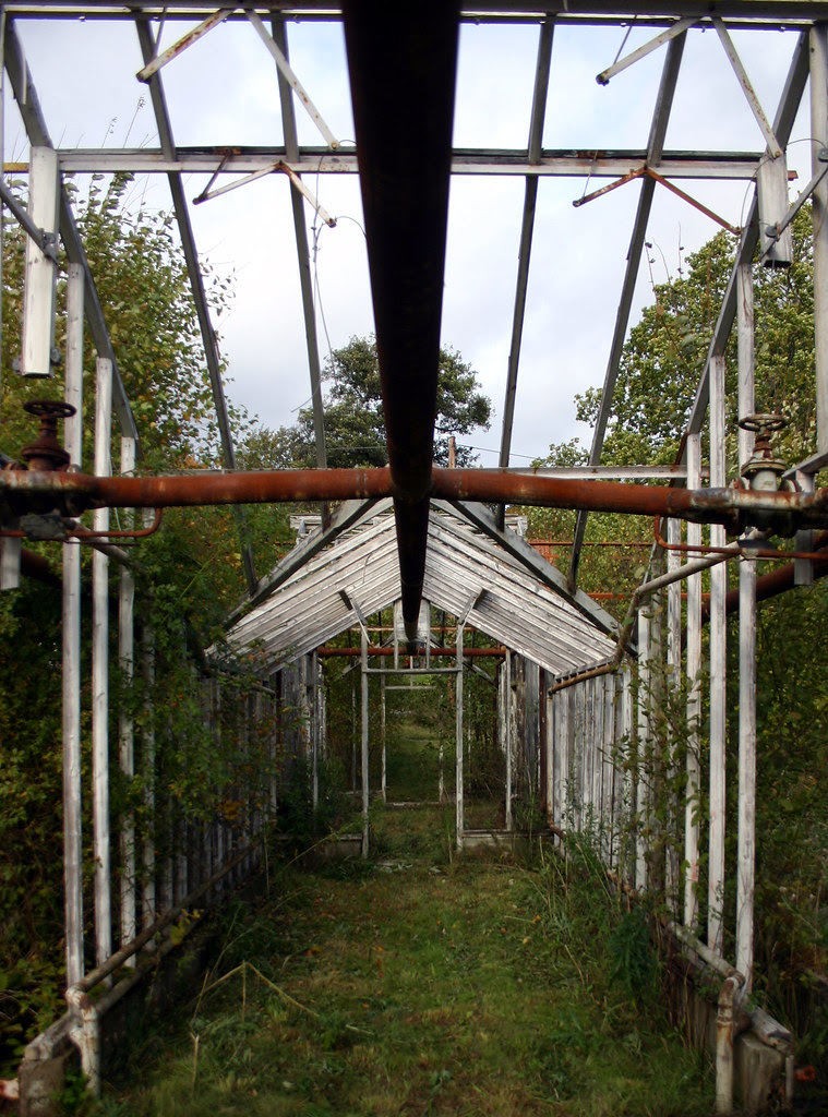 Abandoned Greenhouse