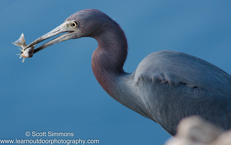 Photo & Video Sharing by SmugMug Photo & Video Sharing by SmugMug