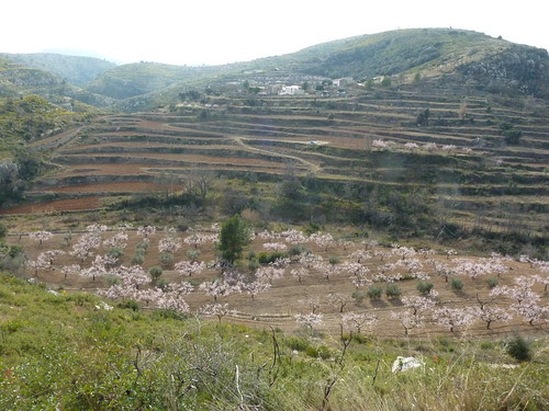 jardín zen