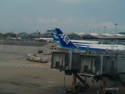 IMAG0586.jpg
