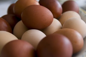 Pile-of-Brown-Eggs