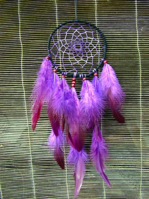 DIY Beautiful and Unique Dream Catcher Ideas (23)