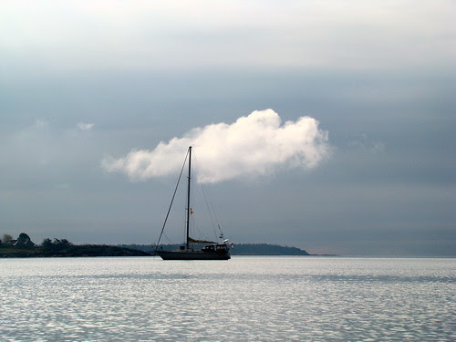 DSC01800