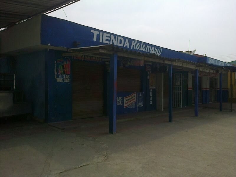 Tienda Kalamary