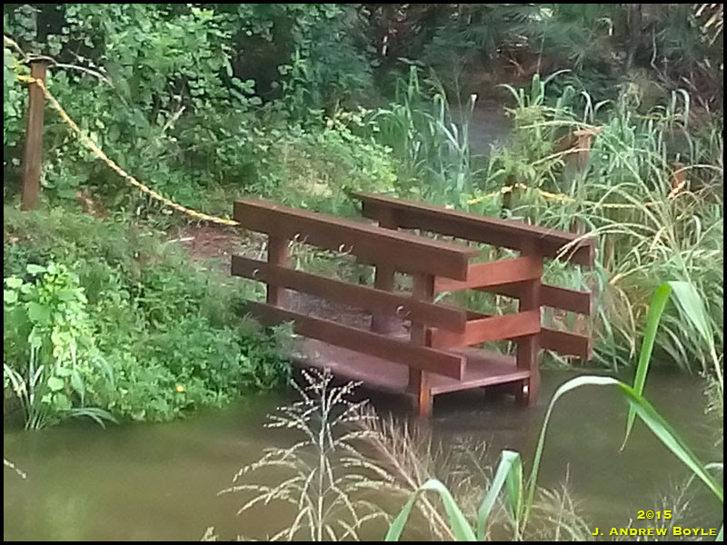 River River