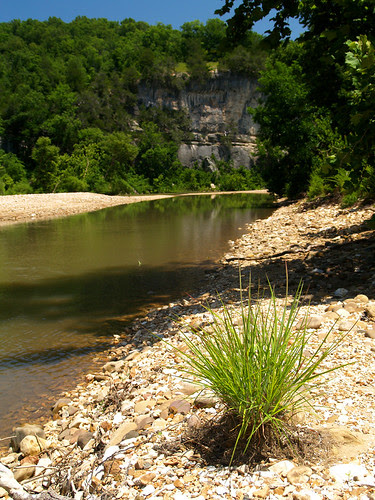 Along the Buffalo