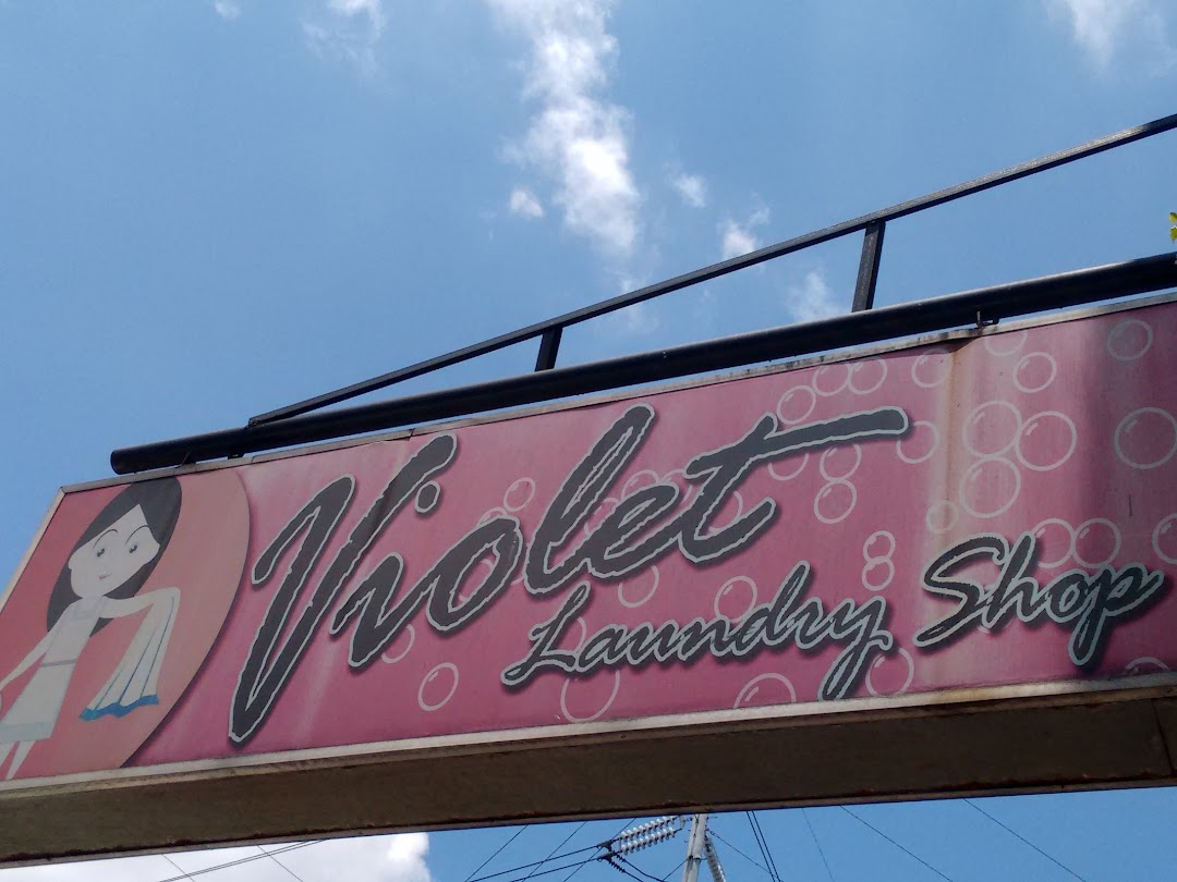 Violet Laundry Shop