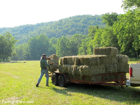 (31-15) The hardest part of haying is bringing in the bales - FarmgirlFare.com
