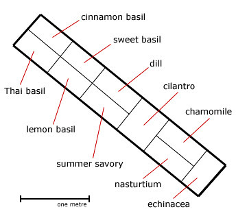 2010 Vegetable Garden - Plot E