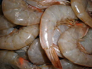Raw shrimp, ready for cooking.