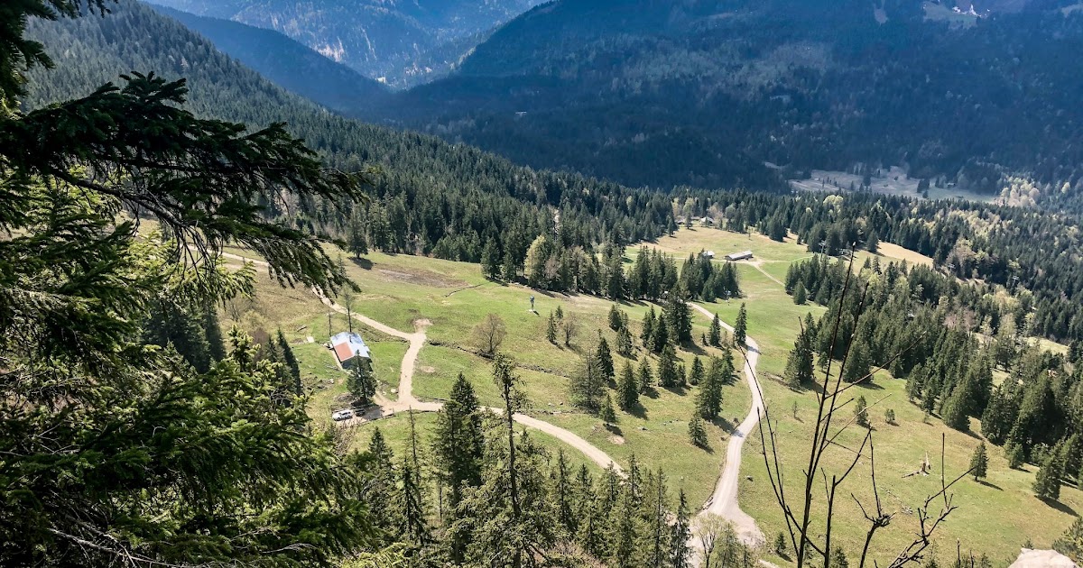 Da Steht Ein Zwerg Auf Dem Berg Tief Im Wald