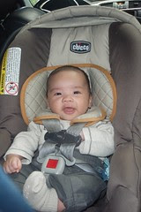 nicholas