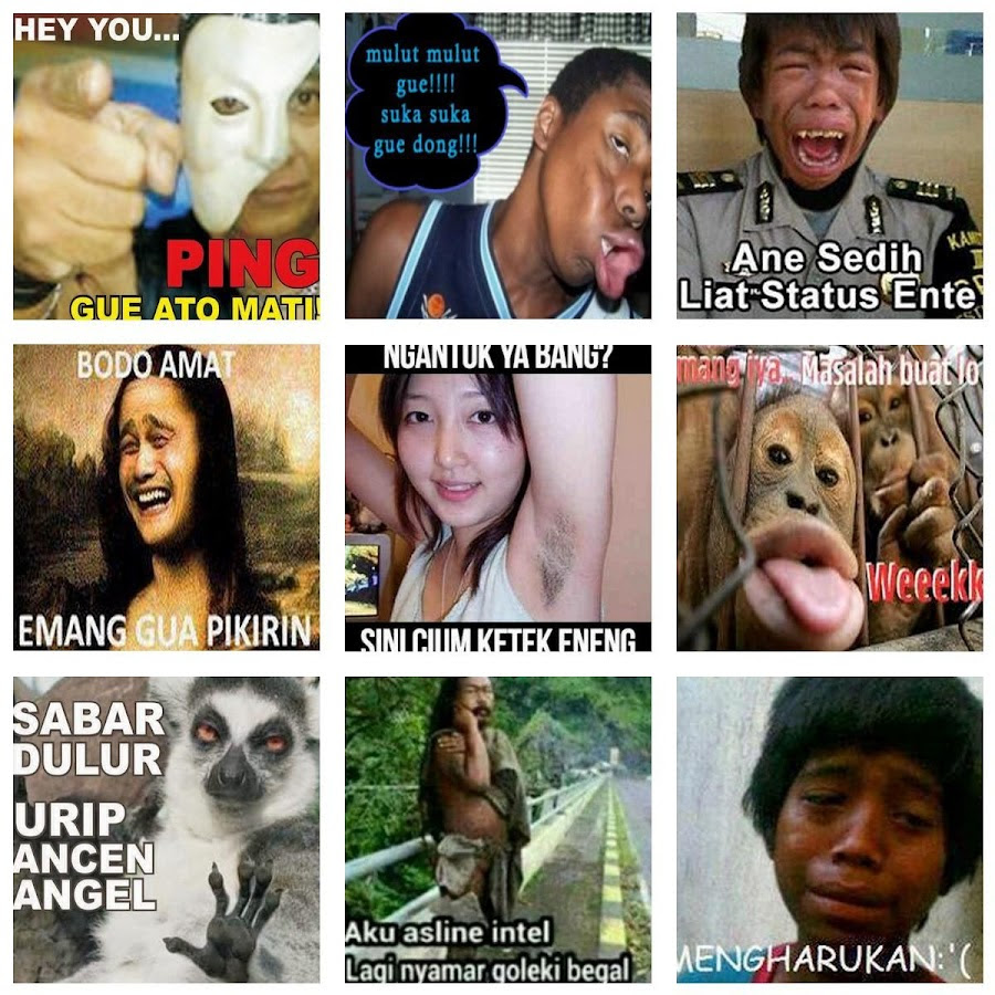 Top Gambar Meme Lucu Gokil Kumpulan Gambar DP BBM