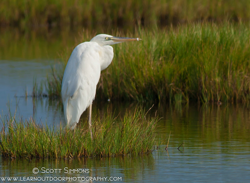 Photo & Video Sharing by SmugMug Photo & Video Sharing by SmugMug