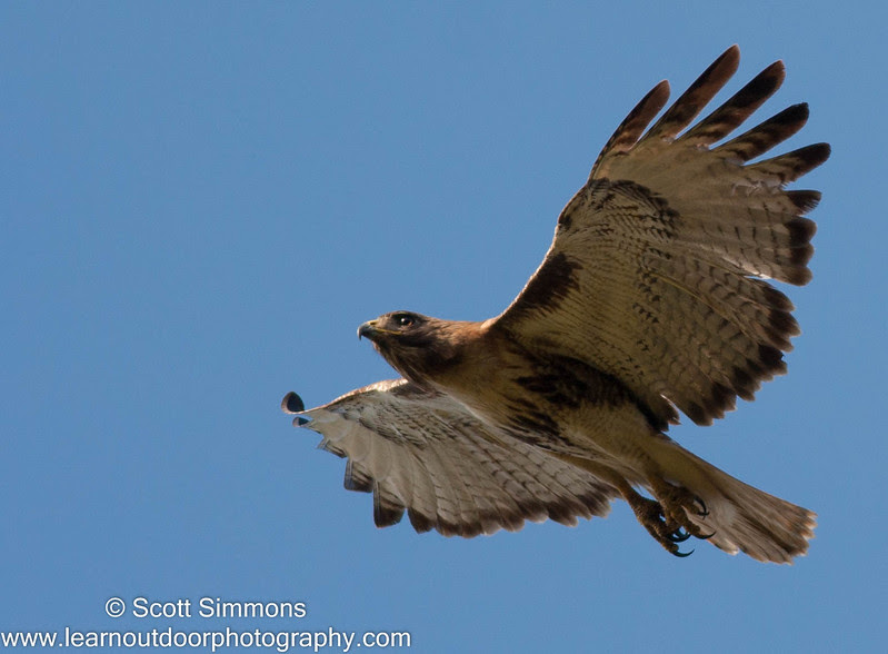 Photo & Video Sharing by SmugMug Photo & Video Sharing by SmugMug