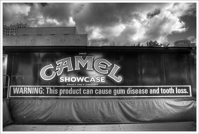 Camel Showcase