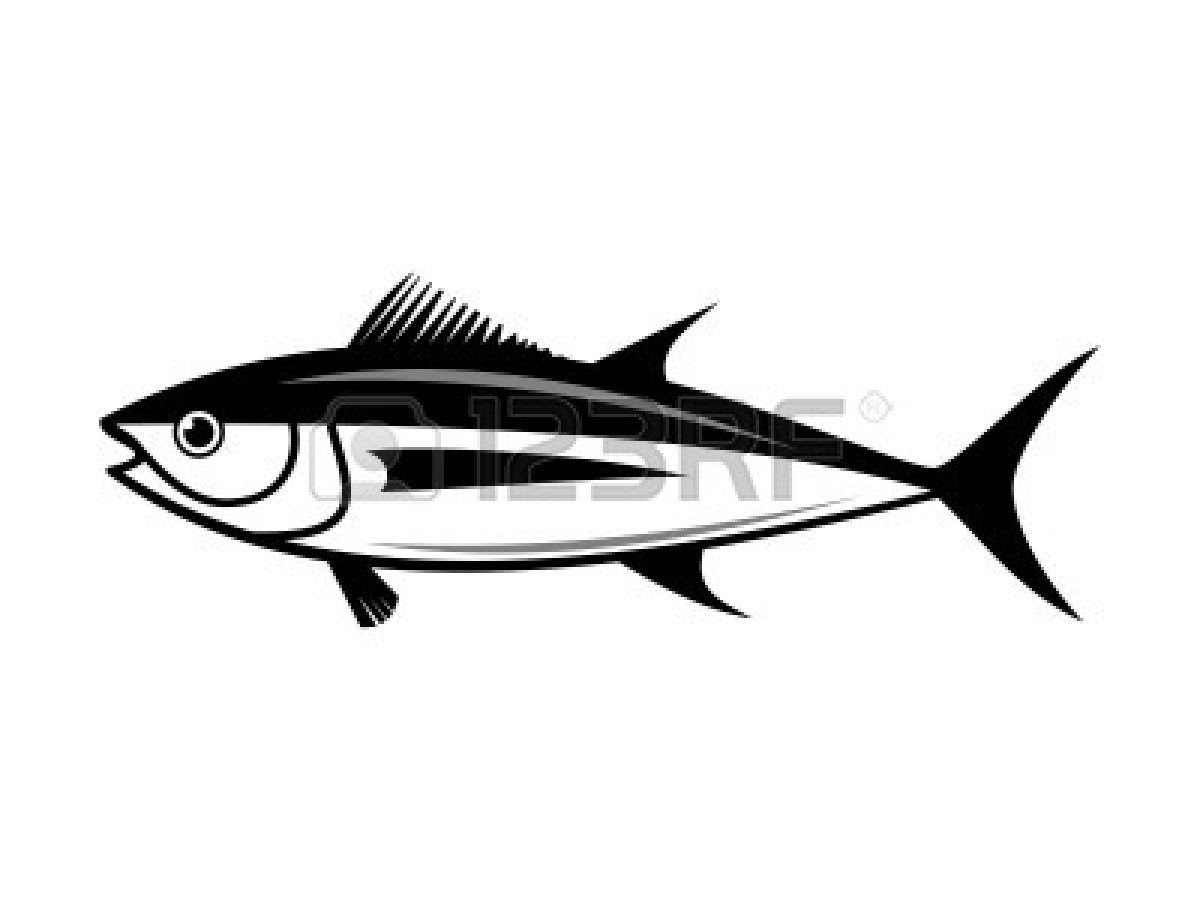 Gambar Kartun Ikan Tenggiri Seribu Animasi