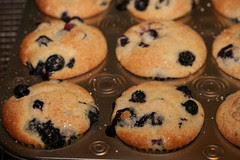 Disaster Again Blueberry Muffins