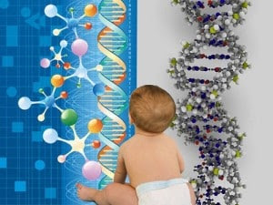 Emfermedades mitocondriales posible nueva terapia genicaTransferencia mitocondrial dos madres y un padre, tres padres genéticos La identidad genética tiene mucho que ver lel caracter único de la persona humana