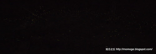 _1110229