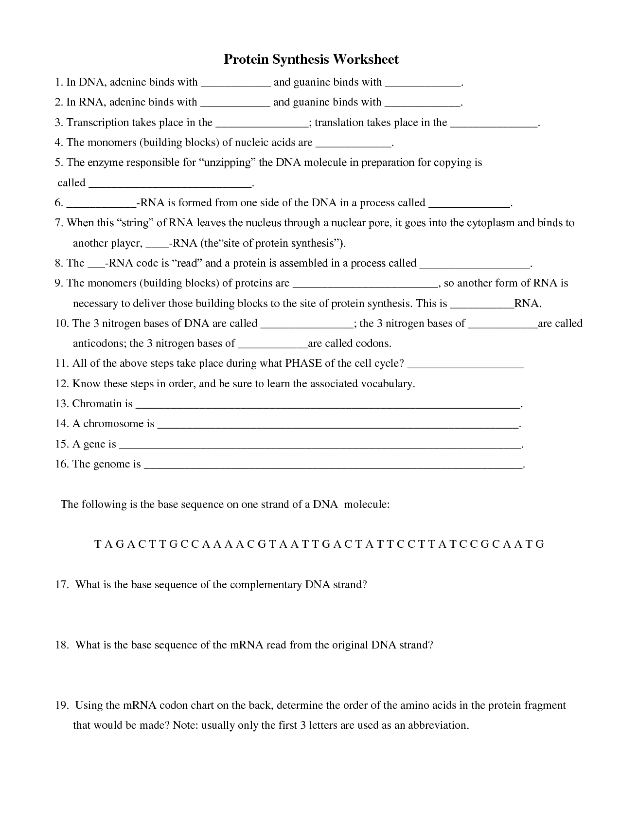 Protein Synthesis Translation Worksheet Answer Key Within Protein Synthesis Worksheet Answers
