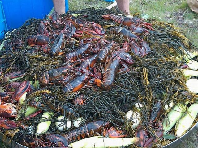 Delicious Outdoor Lobster Feast