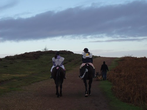 Fairies on Horseback