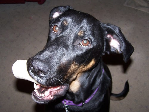 Lola