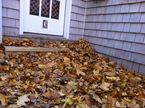 leaves3
