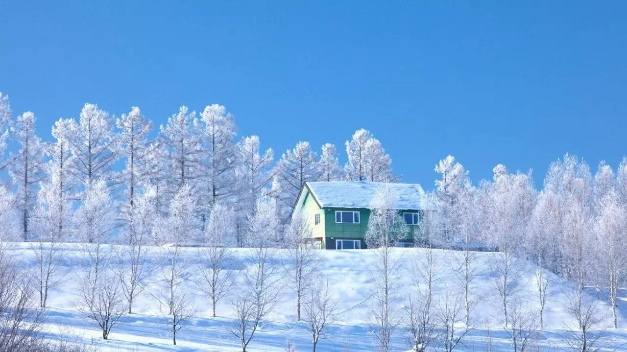 完了しました 北海道雪景色壁紙1619