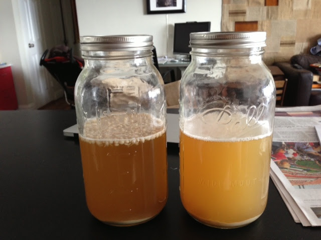 Immobilized Yeast Experiment