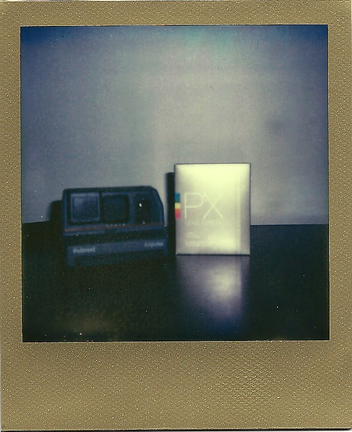 A Wild Tonic Polaroid Gold Giveaway!