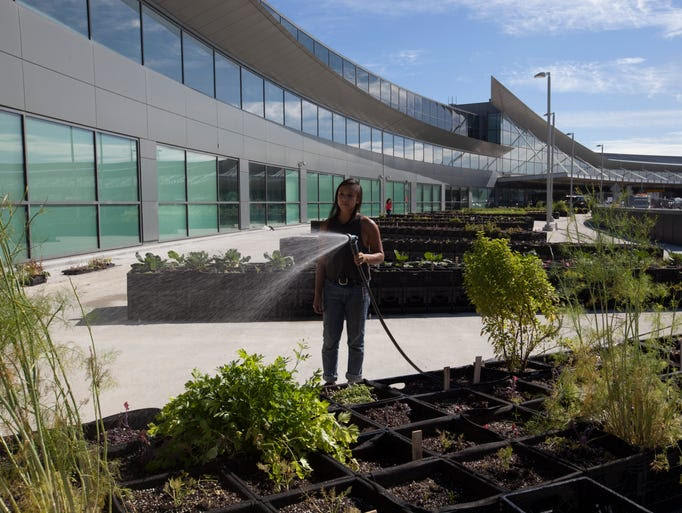 So instead, JetBlue is focusing on potatoes, chives,