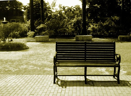 The park bench